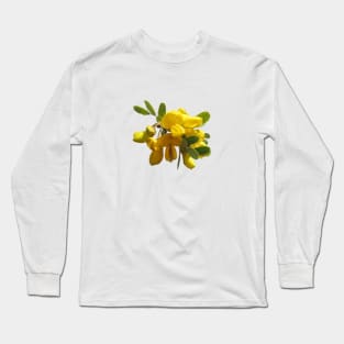 Māmane, Hawaiian flowering plant Long Sleeve T-Shirt